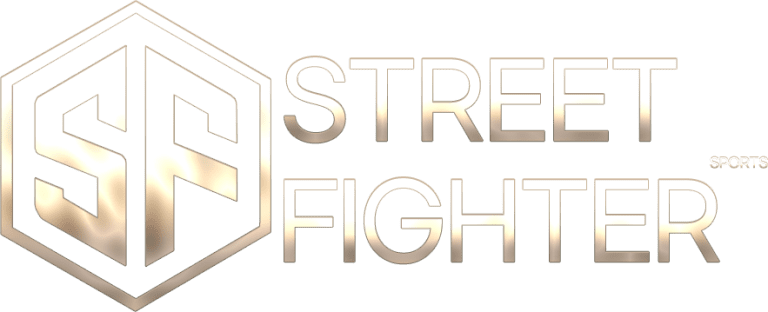 logo_스트리트파이터
