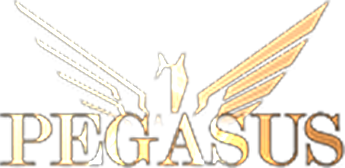 페가수스